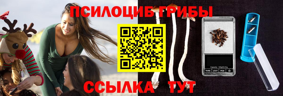 Псилоцибиновые грибы MAGIC MUSHROOMS  Вход с VPN  Псилоцибиновые грибы Psilocybine cubensis  Владивосток 