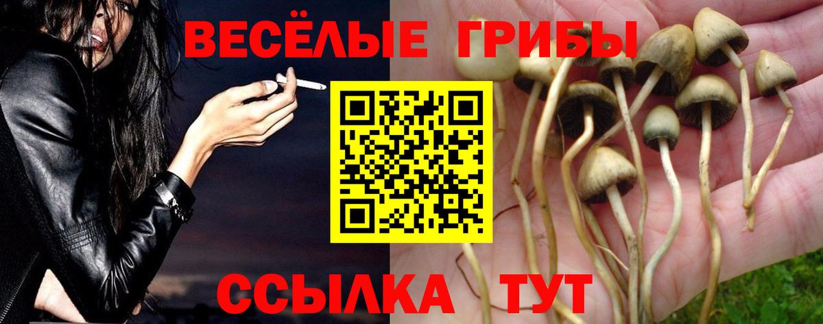 Псилоцибиновые грибы ЛСД Владивосток